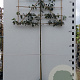 Malus 'Red Sentinel' 12-14 HO container lei 150x125 180 cm stam
