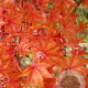 Acer palmatum 'Hogyoku' 250-300 cm cont. 110L