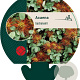 Acaena buchananii GM P9