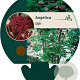 Angelica gigas GM P9