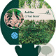 Astilbe (J) 'Peach Blossom' GM P9