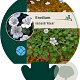 Erodium reichardii 'Album' GM P9