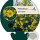 Helianthus 'Lemon Queen' GM P9
