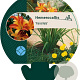 Hemerocallis 'Frans Hals' GM P9