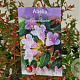 Abelia 'Edward Goucher' 20-25 cm 2,5L