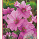 Lavatera 'Rosea' 15-20 cm 3,0L