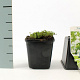 Thymus praecox 'Albiflorus' GM P9