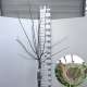 Malus toringo 'Freja' 90 cm stam 10L