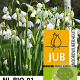 Leucojum aestivum 'Gravetye Giant' 12-14 cm verpakt per 10