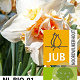 Narcissus Replete 12-14 cm verpakt per 10