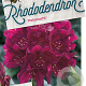 Rhododendron (P) 'Polarnacht' 30-40 cm 5,0L