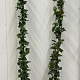 Hedera hibernica 175-200 cm 3,0L