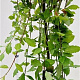 Salix caprea 'Kilmarnock' 180 cm stam 7,5L