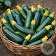 Courgette black beauty GM Per 20 zaden