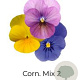 Viola Trio Kleinbloemig Corn. Mix 2 GM P13