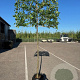 Carpinus betulus 200 cm cont. 110L 14-16 leiboom