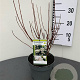 Philadelphus 'Snowbelle' 30-40 cm 3,0L