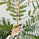 Albizia julibr. Ombrella 80-100 cm 3,0L