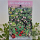 Arctostaphylos uva-ursi 20-25 cm C1.5