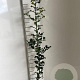 Ilex aquifolium 60-80 cm 2,0L