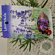 Lavandula ang. 'Munstead' 20-25 cm C1.5