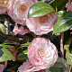 Camellia japonica 100-125 cm 15L