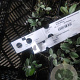 Anaphalis triplinervis GM P9