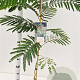 Albizia julibr. 'Rouge de Tuilière' 100-120 cm 3,0L
