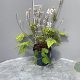 Tiarella wherryi GM 2,0L