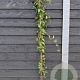 Lonicera jap. 'Red World' 150-175 cm vierkant rond 5,5L