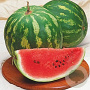Watermeloen Crimson Sweet GM Per 15 zaden