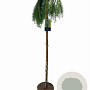 Larix kaempf. 'Stiff Weeper' 150 cm stam 10L