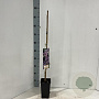Wisteria formosa 60 cm C1.5 met stok