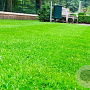 Parken 1 Innogreen