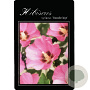 Hibiscus syr. 'Woodbridge' 90 cm stam 15L
