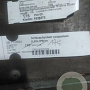 Schizachyrium scoparium GM P9