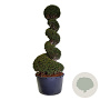 Taxus baccata 200-225 cm cont. 230L spiraal