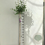 Syringa Dark Purple 120 cm stam 7,5L