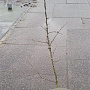 Mespilus germanica 80-100 cm 2,0L