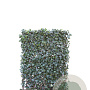 Hedera hel. 'Woerner' 120x180 Mobilane 18-36 st