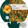 Geum 'Totally Tangerine' GM P9