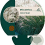 Miscanthus sin. 'Adagio' GM P9