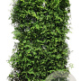 Thuja occ. 'Brabant' 200 Hoog Haagelement 100Bx40D