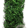 Thuja plicata 'Martin' 200 Hoog Haagelement 100Bx40D