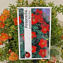 Potentilla f. 'Red Ace' 25-30 cm 2,5L