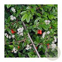 Cotoneaster sal. 'Herbstfeuer' GM 1.5
