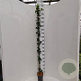 Hedera hibernica 150-175 cm 3,0L met stok