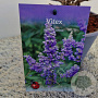 Vitex agnus-castus 15-20 cm 3,0L