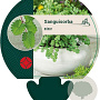 Sanguisorba minor GM P9