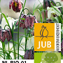 Fritillaria 'meleagris' Mix verpakt per 100